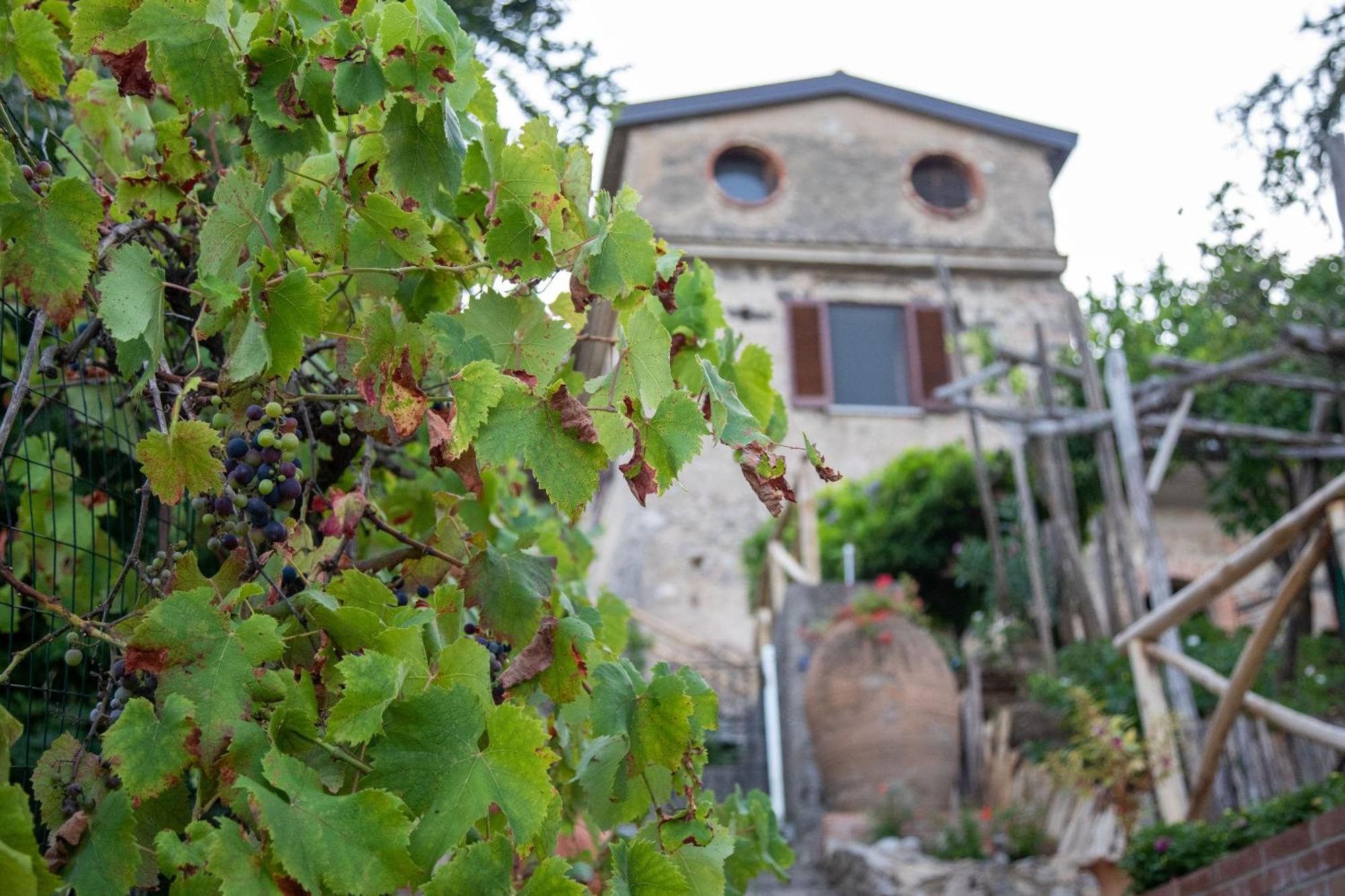 Il Melograno In Costa D'Amalfi - Romantic Experience Vietri Dış mekan fotoğraf